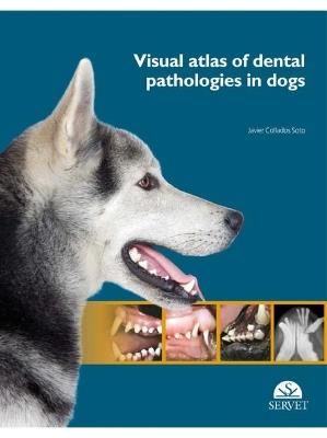 Visual atlas of dental pathologies in dogs - Javier Collados Soto - copertina