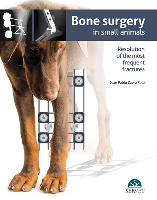 Bone surgery in small animals - Juan Pablo Zaera Polo - copertina