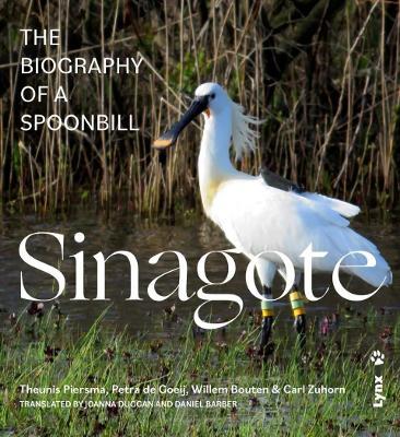 Sinagote, the biography of a spoonbill - Theunis Piersma,Petra de Goeij,Willem Bouten - cover