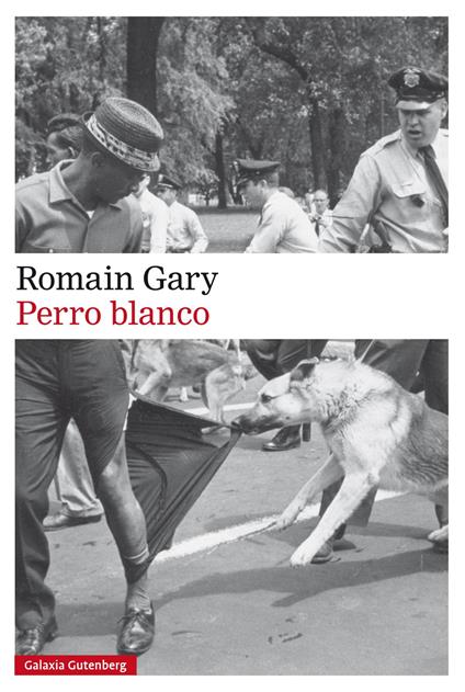 Perro blanco