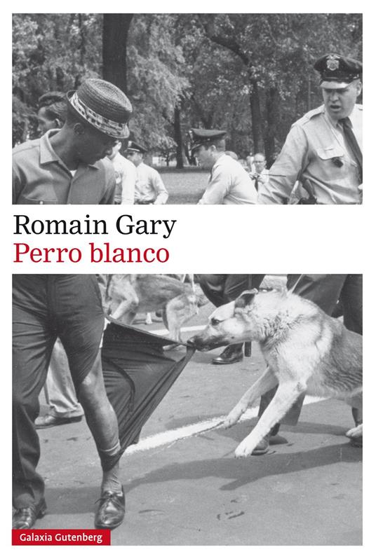 Perro blanco