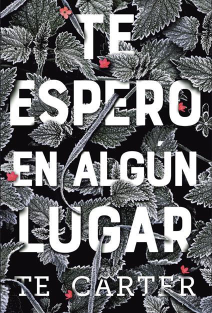Te espero en algún lugar - T.E. Carter - ebook
