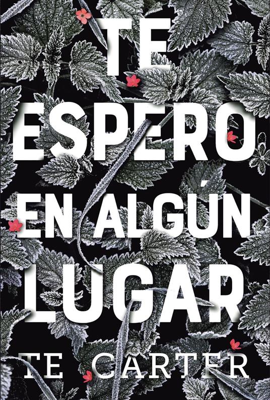 Te espero en algún lugar - T.E. Carter - ebook