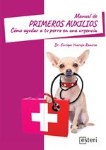 Manual de primeros auxilios: cómo ayudar a tu perro en una urgencia