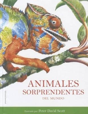 Animales sorprendentes del mundo - Peter David Scott - cover