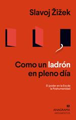 Como un ladrón en pleno día