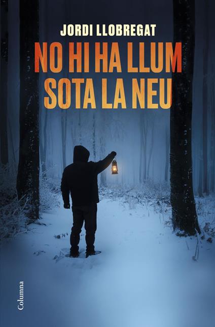 No hi ha llum sota la neu - Jordi Llobregat,Núria Parés Sellarés - ebook