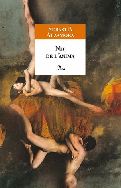 Nit de l'ànima - Sebastià Alzamora - ebook
