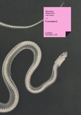Caramur? - Alejandro Magari?os Cervantes - cover