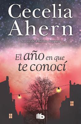 El año en que te conocí  /  The Year I Met You - Cecelia Ahern - cover