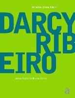 Darcy Ribeiro - Encontros - Darcy Ribeiro - cover