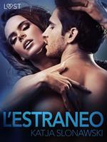 L'estraneo - Breve racconto erotico