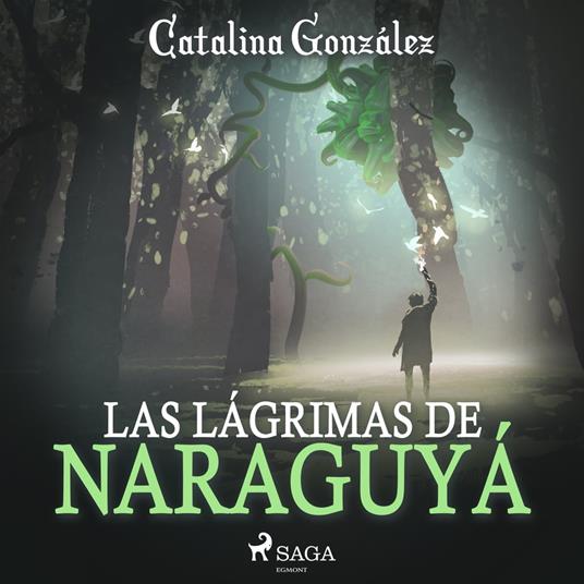 Las lágrimas de Naraguyá