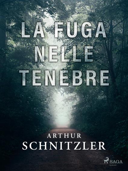 La fuga nelle tenebre - Arthur Schnitzler,Angelo Treves - ebook