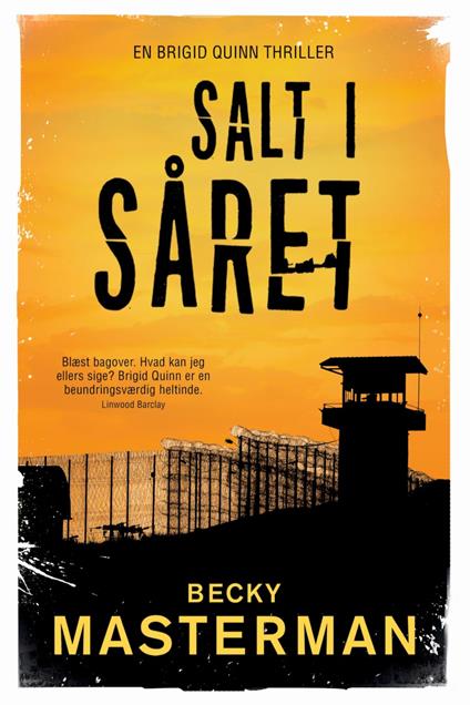 Salt i såret - Becky Masterman,Eva Birklund - ebook