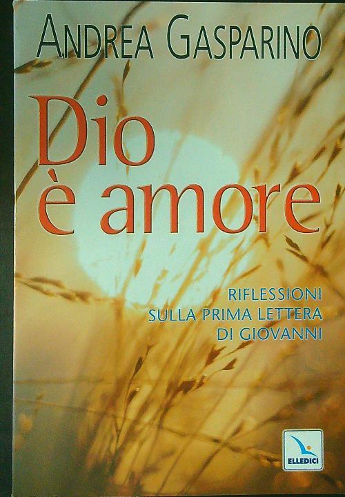 Dio è amore. Riflessioni sulla prima Lettera di Giovanni