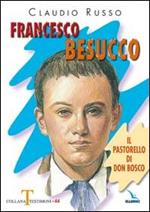 Francesco Besucco. Il pastorello di Don Bosco. Vol. 2