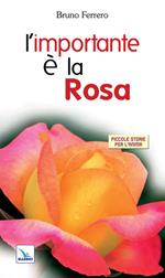 L'importante è la rosa