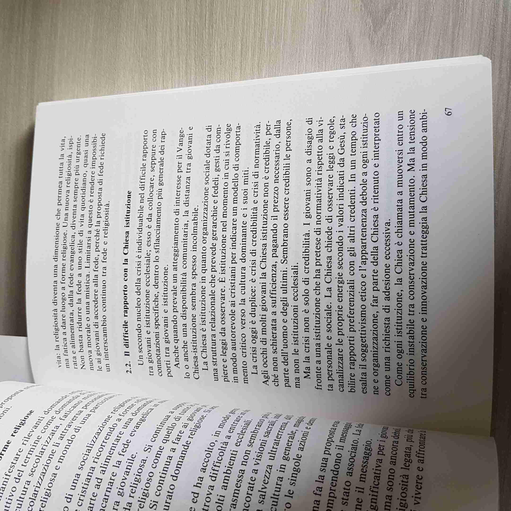 L'oratorio dei giovani. Una proposta di animazione