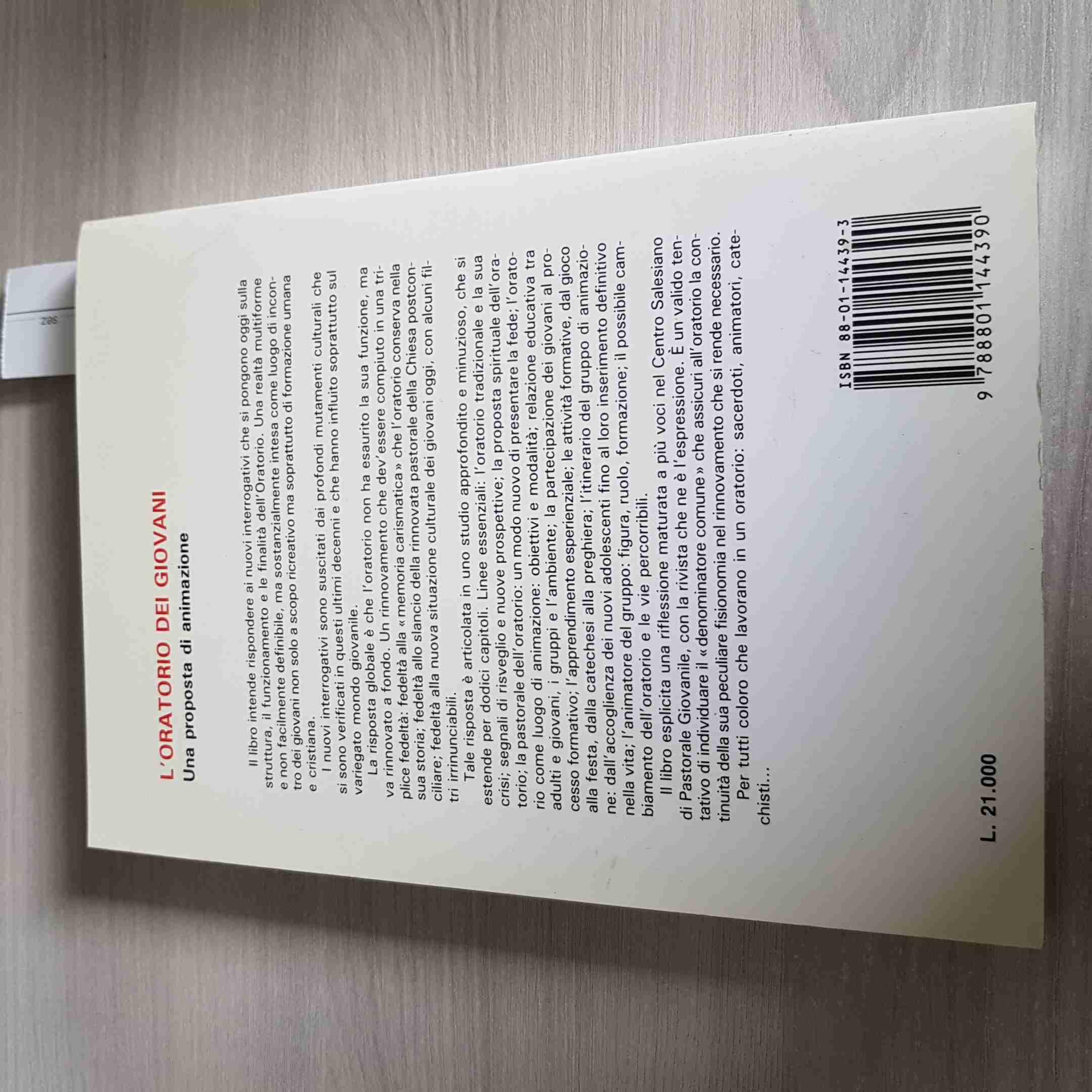 L'oratorio dei giovani. Una proposta di animazione