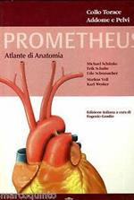 Diritto commerciale. Vol. 2: Diritto delle società.