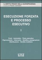 L'Esecuzione forzata e processo esecutivo