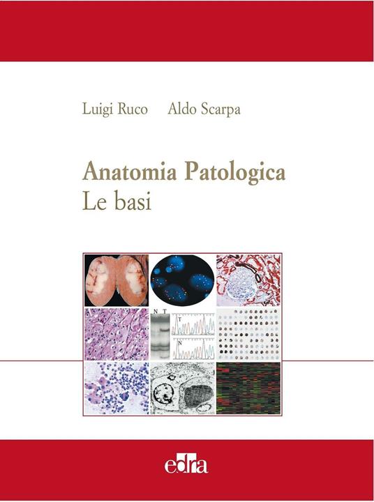 Anatomia patologica. Le basi. Vol. 1 - Aldo Scarpa,Luigi Ruco - copertina