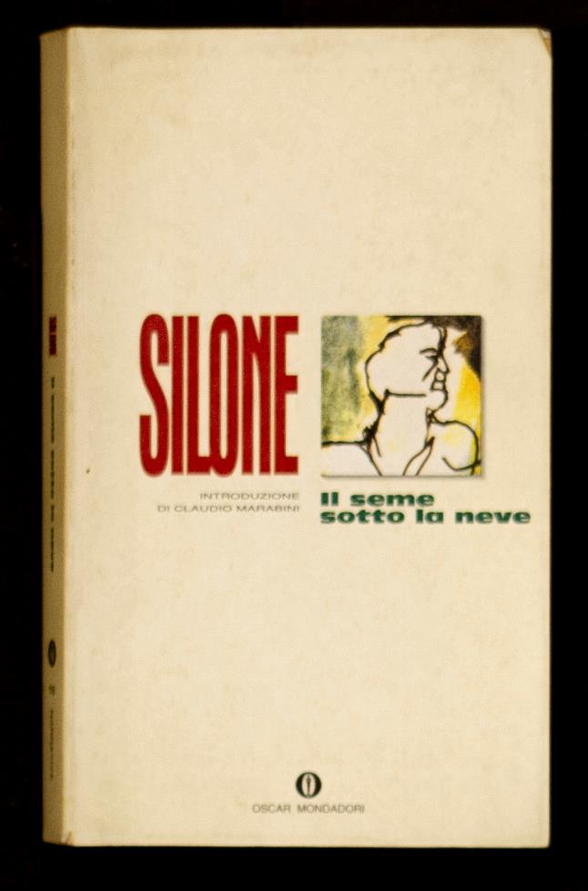 Libreria Trippini Sergio