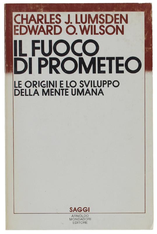 Bergoglio Libri d'Epoca Snc