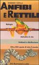 Libro Anfibi e rettili Massimo Capula