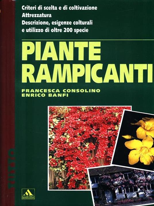 Piante rampicanti - Francesca Consolino,Enrico Banfi - copertina