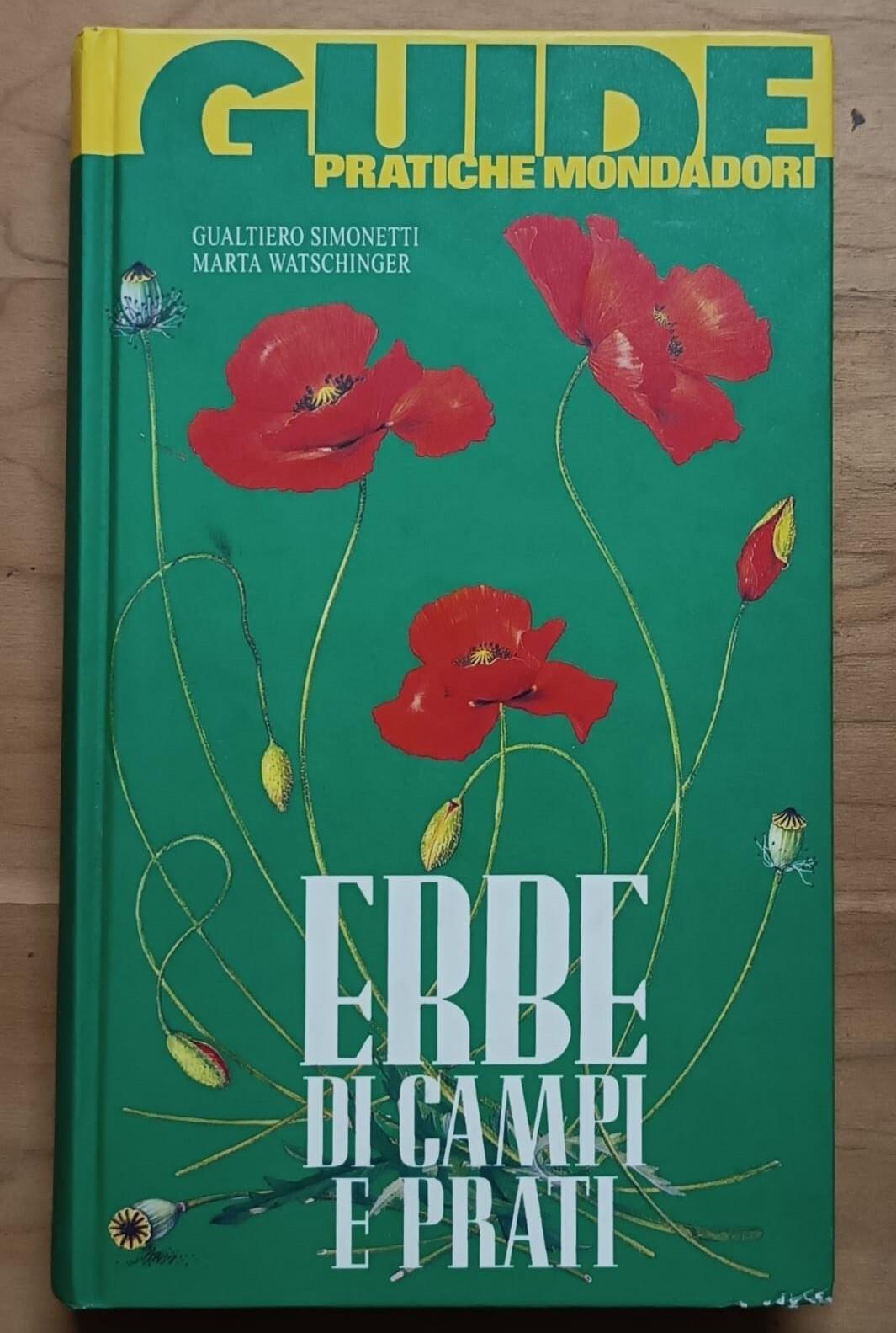 Erbe di campi e prati