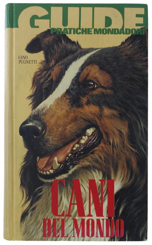 Bergoglio Libri d'Epoca Snc