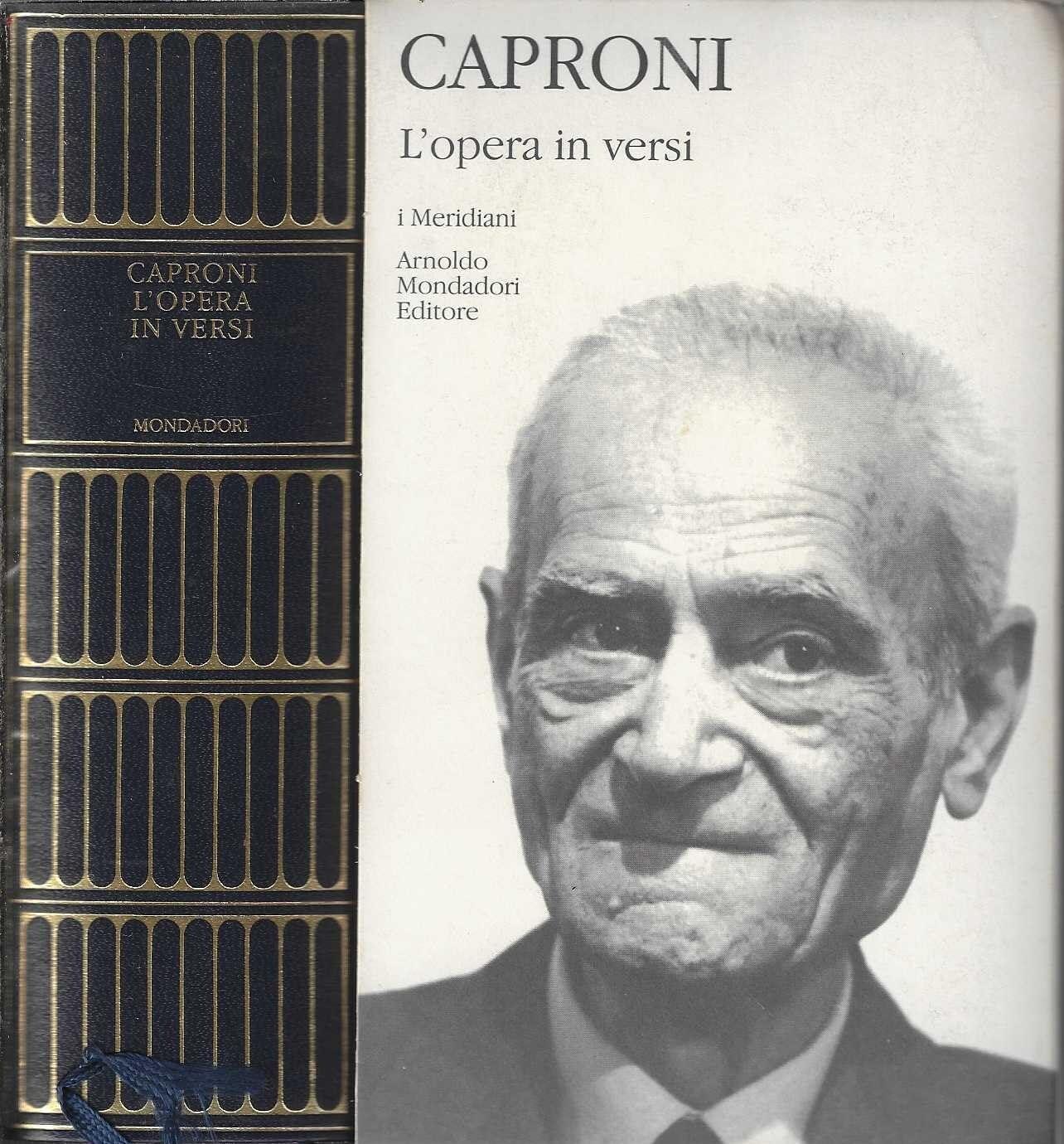 L'opera in versi