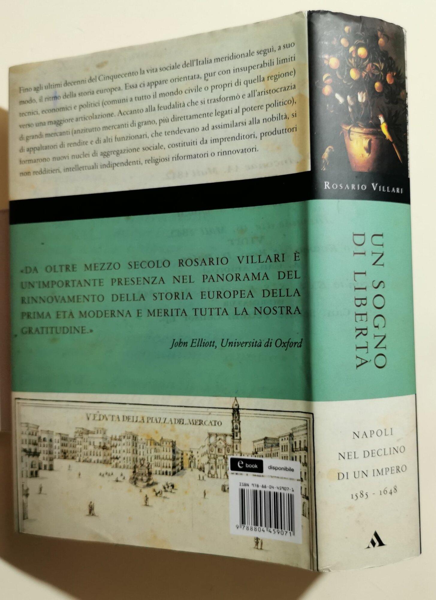 Un sogno di libertà. Napoli nel declino di un impero. 1585-1648