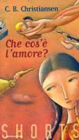 Che cos'è l'amore - C. B. Christiansen - copertina