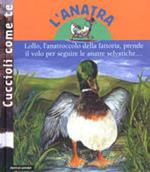 L' anatra