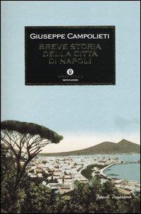 Breve storia della città di Napoli - Giuseppe Campolieti - copertina