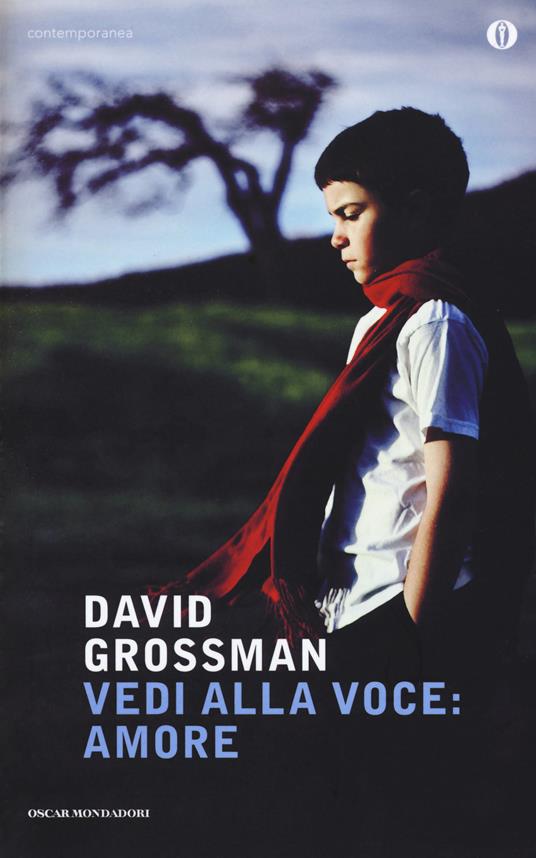 Vedi alla voce: amore - David Grossman - copertina