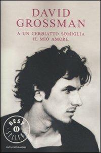 A un cerbiatto somiglia il mio amore - David Grossman - copertina