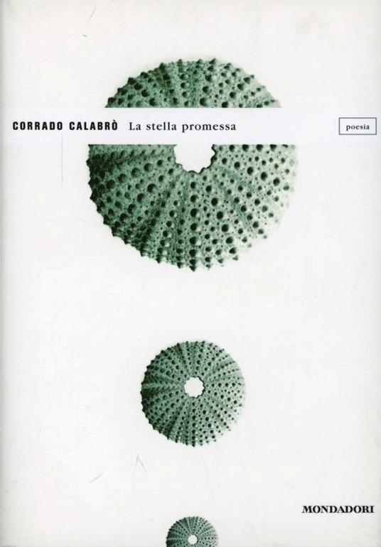La stella promessa - Corrado Calabrò - copertina