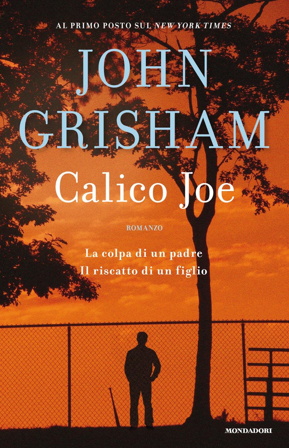 Calico Joe