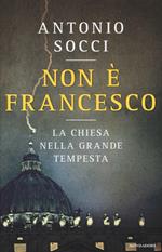 Non è Francesco. La Chiesa nella grande tempesta