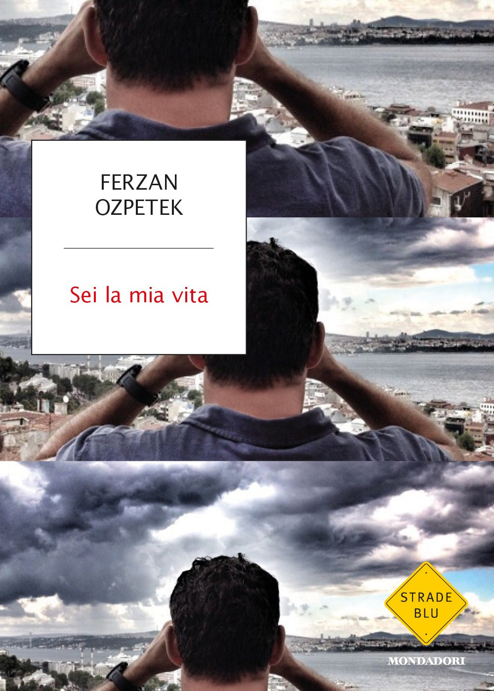 ibs
