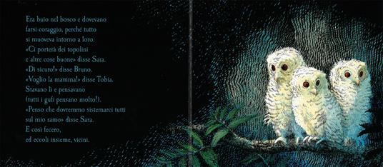 I tre piccoli gufi. Ediz. illustrata - Martin Waddell,Patrick Benson - 3
