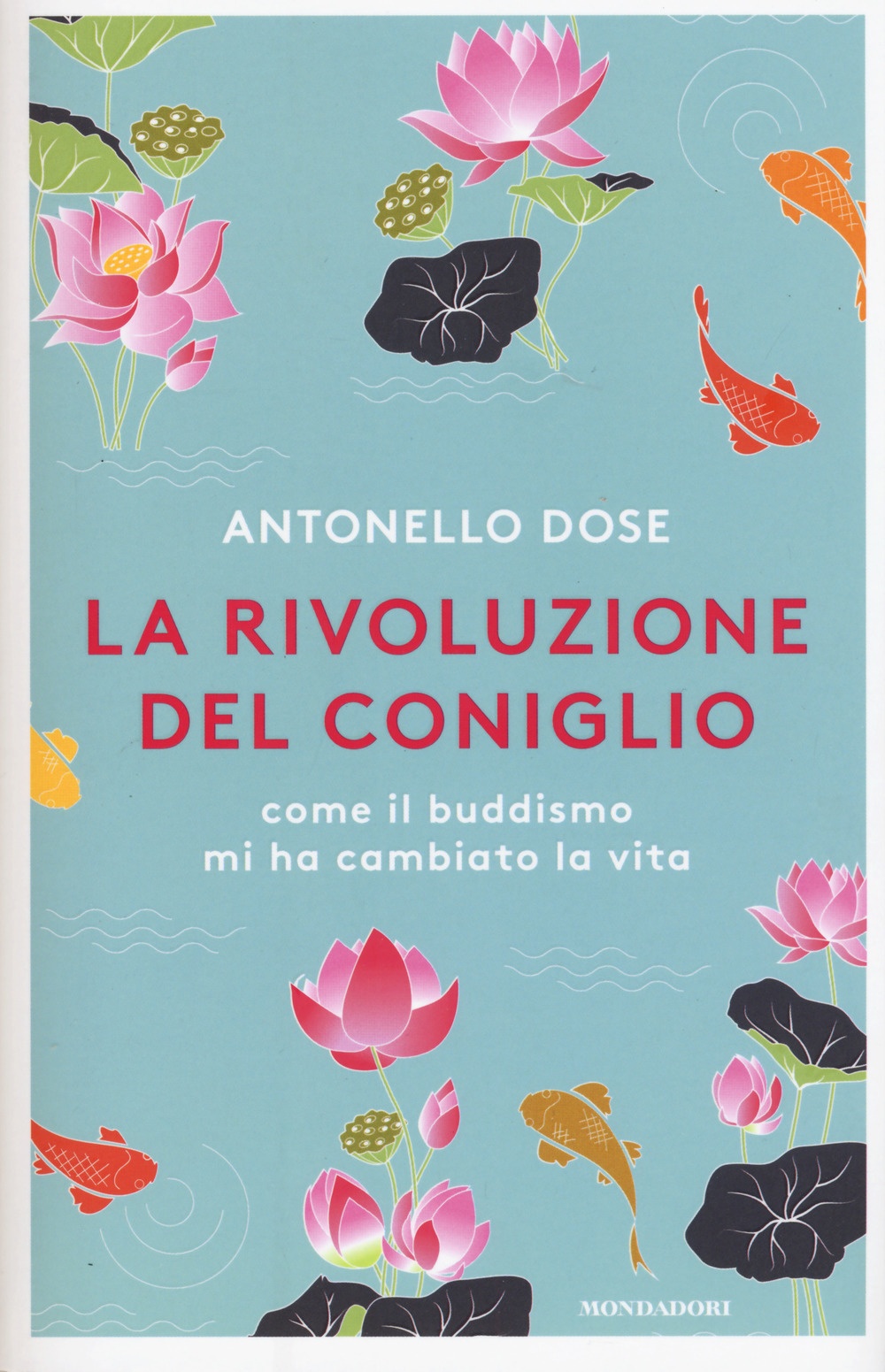 F.E.N. Libreria