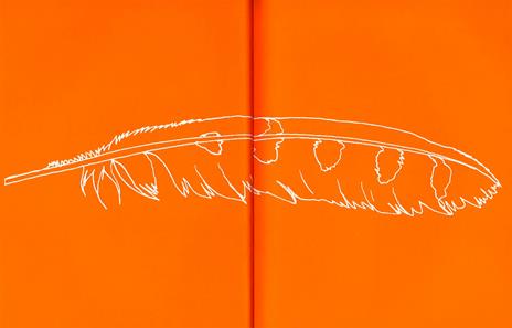 Là fuori. Guida alla scoperta della natura - M. Ana Peixe Dias,Inês Teixeira do Rosário - 2