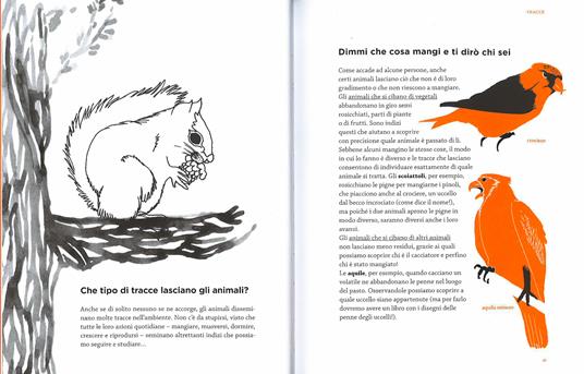 Là fuori. Guida alla scoperta della natura - M. Ana Peixe Dias,Inês Teixeira do Rosário - 3