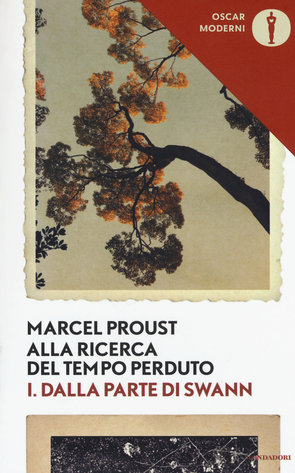 Libreria Postumia