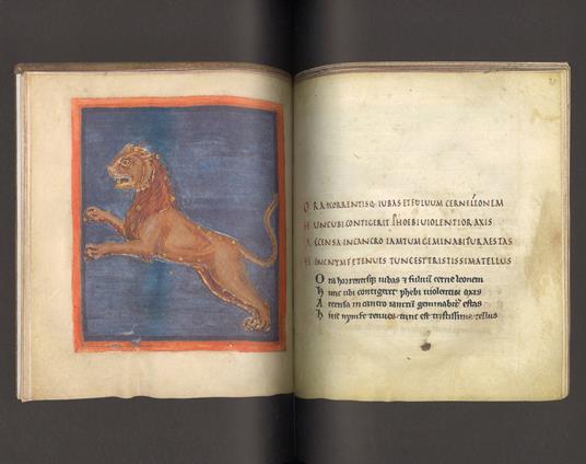 Storia di dodici manoscritti. Ediz. a colori - Christopher De Hamel - 3